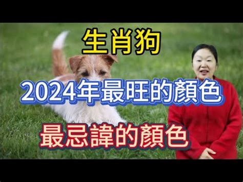 生肖狗 幸運色|2024年運勢大揭秘：生肖狗的幸運數字、顏色和貴人。